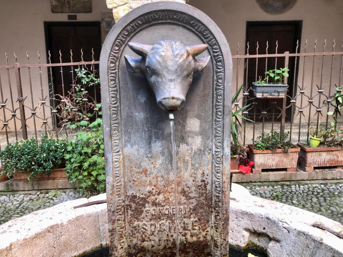 Appartamento Ai Piedi Della Pigna 산레모 외부 사진