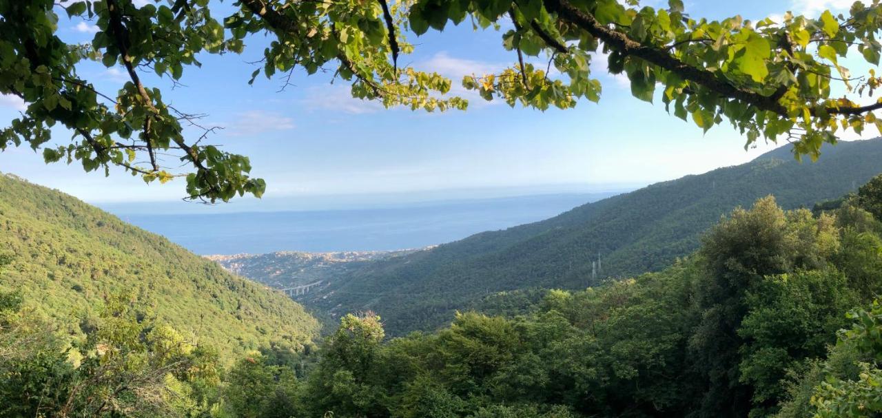 Appartamento Ai Piedi Della Pigna 산레모 외부 사진